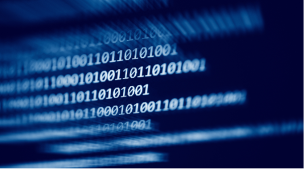 Data Valorisation